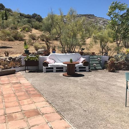 Cortijo Nuevo Alojamiento Rural Куэвас-дель-Бесерро Экстерьер фото