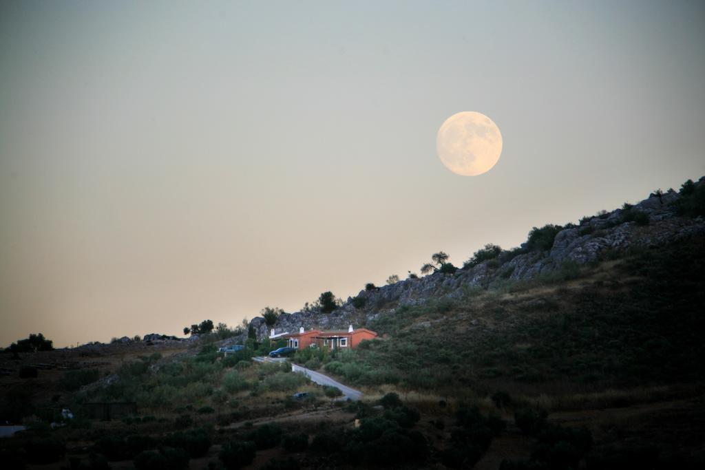Cortijo Nuevo Alojamiento Rural Куэвас-дель-Бесерро Экстерьер фото